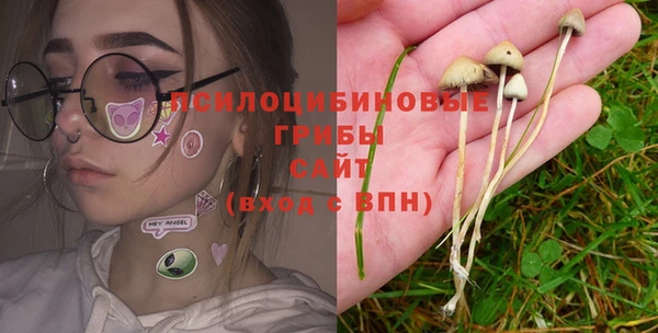 крисы Нефтегорск