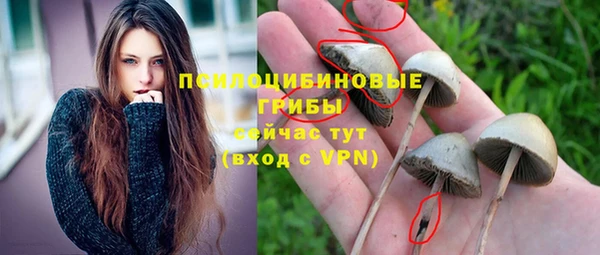 герыч Нефтекумск